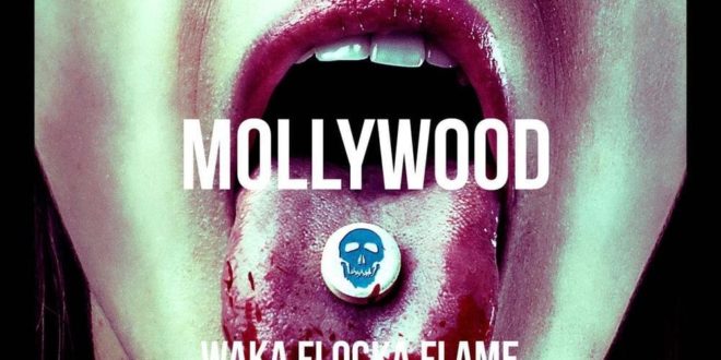 Waka Flocka Flame Mollywood