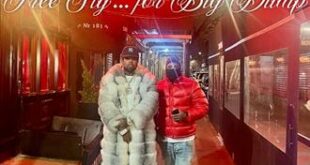 Westside Gunn - 12 (2025)