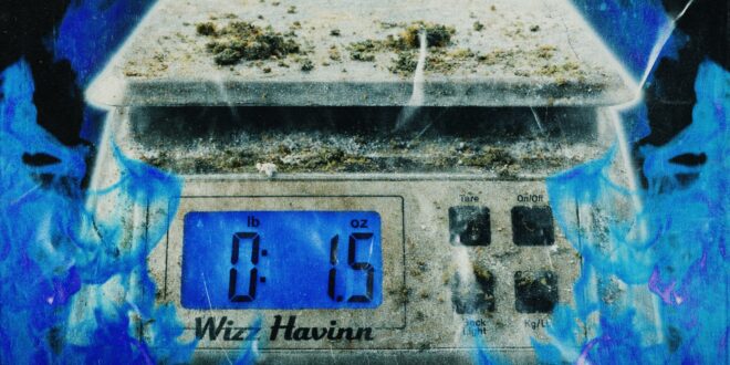 Wizz Havinn - Dirty Scale Music Vol 1.5