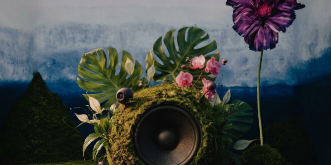 Zakes Bantwini - Echoes Of Botanical Gardens