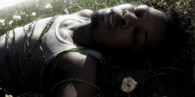 d4vd - Withered (2025)