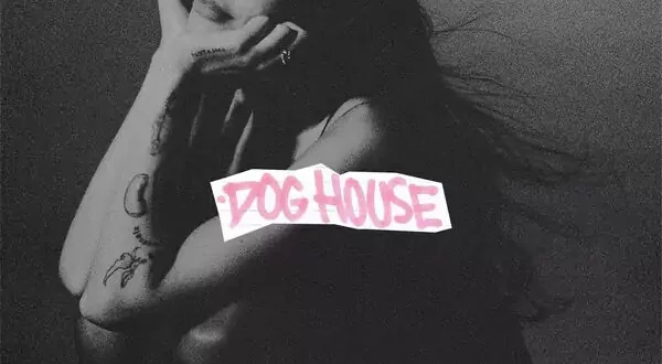 Drake - DOG HOUSE (Julia Wolf, Yeat)